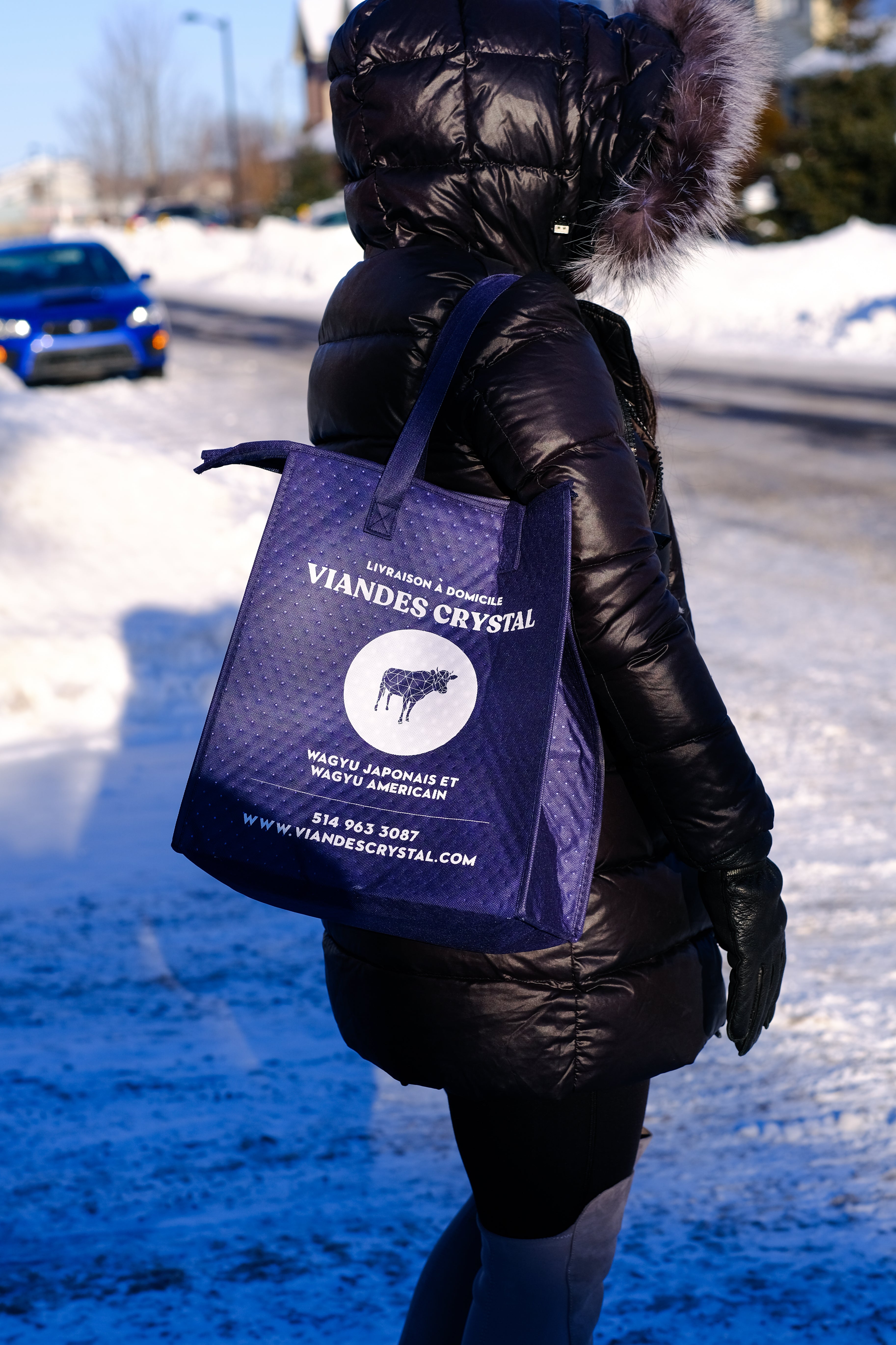 Insulated Food Bags | Thermal Insulated Bag | Viandes Crystal