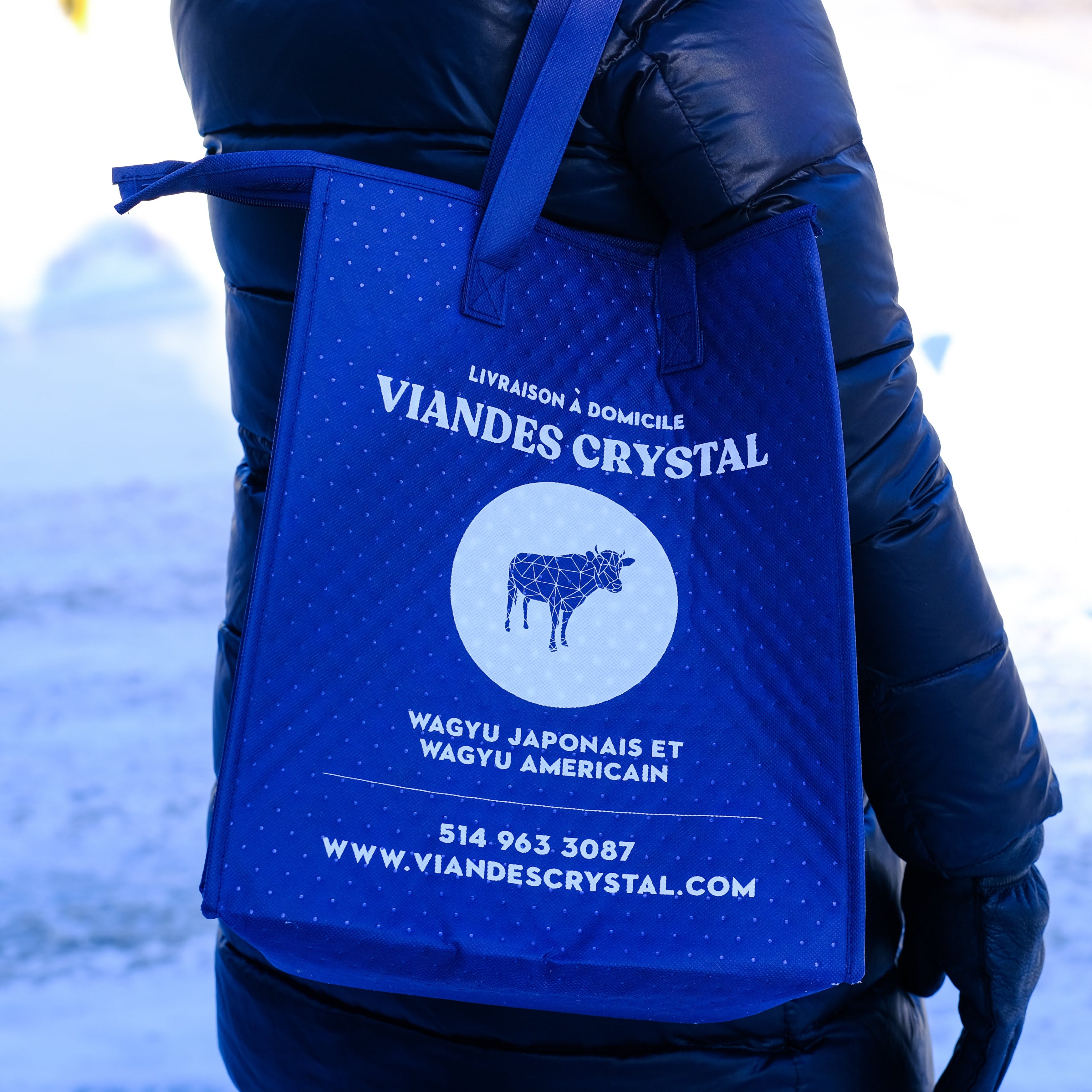 Insulated Food Bags | Thermal Insulated Bag | Viandes Crystal